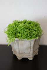 ANTIQUE GREY CHINESE VESSEL WITH MOSS SPECIMEN