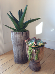 ANTIQUE TEAK MORTARS WITH SPECIMEN PLANTINGS