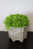 ANTIQUE GREY CHINESE VESSEL WITH MOSS SPECIMEN